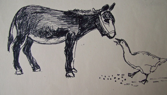 Description: Macintosh HD:Users:anthonyhill:Documents:DIGITAL PUBLISHING:NEWSLETTERS :Newsletters 2014:Donkey 1.jpg